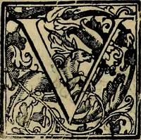 An illustration from Trattato di Christoforo Acosta africano medico & chirurgo della historia, natvra, et virtv delle droghe medicinali, & altri semplici rarissimi, che vengono portati dalle Indie Orientali in Europa : con le figure delle piante ritratte, & disegnate dal viuo poste a' luoghi proprij : nuouamente recato dalla spagnuola nella nostra lingua : con due indici, vno de' capi principali, l'altro delle cose di più momento, che si ritrouano in tutta l'opera (1585)