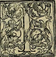 An illustration from Trattato di Christoforo Acosta africano medico & chirurgo della historia, natvra, et virtv delle droghe medicinali, & altri semplici rarissimi, che vengono portati dalle Indie Orientali in Europa : con le figure delle piante ritratte, & disegnate dal viuo poste a' luoghi proprij : nuouamente recato dalla spagnuola nella nostra lingua : con due indici, vno de' capi principali, l'altro delle cose di più momento, che si ritrouano in tutta l'opera (1585)