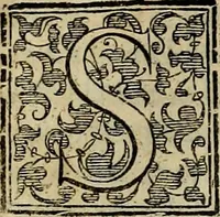 An illustration from Trattato di Christoforo Acosta africano medico & chirurgo della historia, natvra, et virtv delle droghe medicinali, & altri semplici rarissimi, che vengono portati dalle Indie Orientali in Europa : con le figure delle piante ritratte, & disegnate dal viuo poste a' luoghi proprij : nuouamente recato dalla spagnuola nella nostra lingua : con due indici, vno de' capi principali, l'altro delle cose di più momento, che si ritrouano in tutta l'opera (1585)
