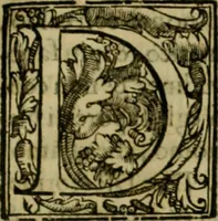 Picture 95 of 102 from Trattato di Christoforo Acosta africano medico & chirurgo della historia, natvra, et virtv delle droghe medicinali, & altri semplici rarissimi, che vengono portati dalle Indie Orientali in Europa : con le figure delle piante ritratte, & disegnate dal viuo poste a' luoghi proprij : nuouamente recato dalla spagnuola nella nostra lingua : con due indici, vno de' capi principali, l'altro delle cose di più momento, che si ritrouano in tutta l'opera (1585), leaf 348