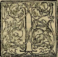 An illustration from Trattato di Christoforo Acosta africano medico & chirurgo della historia, natvra, et virtv delle droghe medicinali, & altri semplici rarissimi, che vengono portati dalle Indie Orientali in Europa : con le figure delle piante ritratte, & disegnate dal viuo poste a' luoghi proprij : nuouamente recato dalla spagnuola nella nostra lingua : con due indici, vno de' capi principali, l'altro delle cose di più momento, che si ritrouano in tutta l'opera (1585)