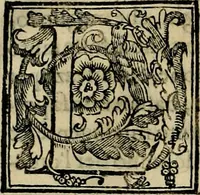An illustration from Trattato di Christoforo Acosta africano medico & chirurgo della historia, natvra, et virtv delle droghe medicinali, & altri semplici rarissimi, che vengono portati dalle Indie Orientali in Europa : con le figure delle piante ritratte, & disegnate dal viuo poste a' luoghi proprij : nuouamente recato dalla spagnuola nella nostra lingua : con due indici, vno de' capi principali, l'altro delle cose di più momento, che si ritrouano in tutta l'opera (1585)