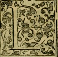 An illustration from Trattato di Christoforo Acosta africano medico & chirurgo della historia, natvra, et virtv delle droghe medicinali, & altri semplici rarissimi, che vengono portati dalle Indie Orientali in Europa : con le figure delle piante ritratte, & disegnate dal viuo poste a' luoghi proprij : nuouamente recato dalla spagnuola nella nostra lingua : con due indici, vno de' capi principali, l'altro delle cose di più momento, che si ritrouano in tutta l'opera (1585)