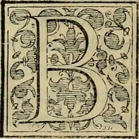 An illustration from Trattato di Christoforo Acosta africano medico & chirurgo della historia, natvra, et virtv delle droghe medicinali, & altri semplici rarissimi, che vengono portati dalle Indie Orientali in Europa : con le figure delle piante ritratte, & disegnate dal viuo poste a' luoghi proprij : nuouamente recato dalla spagnuola nella nostra lingua : con due indici, vno de' capi principali, l'altro delle cose di più momento, che si ritrouano in tutta l'opera (1585)