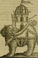 An illustration from Trattato di Christoforo Acosta africano medico & chirurgo della historia, natvra, et virtv delle droghe medicinali, & altri semplici rarissimi, che vengono portati dalle Indie Orientali in Europa : con le figure delle piante ritratte, & disegnate dal viuo poste a' luoghi proprij : nuouamente recato dalla spagnuola nella nostra lingua : con due indici, vno de' capi principali, l'altro delle cose di più momento, che si ritrouano in tutta l'opera (1585)