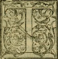 An illustration from Trattato di Christoforo Acosta africano medico & chirurgo della historia, natvra, et virtv delle droghe medicinali, & altri semplici rarissimi, che vengono portati dalle Indie Orientali in Europa : con le figure delle piante ritratte, & disegnate dal viuo poste a' luoghi proprij : nuouamente recato dalla spagnuola nella nostra lingua : con due indici, vno de' capi principali, l'altro delle cose di più momento, che si ritrouano in tutta l'opera (1585)