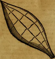 Picture 7 of 102 from Trattato di Christoforo Acosta africano medico & chirurgo della historia, natvra, et virtv delle droghe medicinali, & altri semplici rarissimi, che vengono portati dalle Indie Orientali in Europa : con le figure delle piante ritratte, & disegnate dal viuo poste a' luoghi proprij : nuouamente recato dalla spagnuola nella nostra lingua : con due indici, vno de' capi principali, l'altro delle cose di più momento, che si ritrouano in tutta l'opera (1585), leaf 56