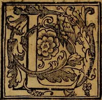 An illustration from Trattato di Christoforo Acosta africano medico & chirurgo della historia, natvra, et virtv delle droghe medicinali, & altri semplici rarissimi, che vengono portati dalle Indie Orientali in Europa : con le figure delle piante ritratte, & disegnate dal viuo poste a' luoghi proprij : nuouamente recato dalla spagnuola nella nostra lingua : con due indici, vno de' capi principali, l'altro delle cose di più momento, che si ritrouano in tutta l'opera (1585)