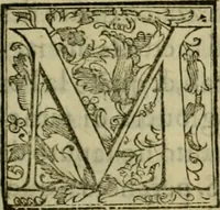 An illustration from Trattato di Christoforo Acosta africano medico & chirurgo della historia, natvra, et virtv delle droghe medicinali, & altri semplici rarissimi, che vengono portati dalle Indie Orientali in Europa : con le figure delle piante ritratte, & disegnate dal viuo poste a' luoghi proprij : nuouamente recato dalla spagnuola nella nostra lingua : con due indici, vno de' capi principali, l'altro delle cose di più momento, che si ritrouano in tutta l'opera (1585)