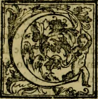 An illustration from Trattato di Christoforo Acosta africano medico & chirurgo della historia, natvra, et virtv delle droghe medicinali, & altri semplici rarissimi, che vengono portati dalle Indie Orientali in Europa : con le figure delle piante ritratte, & disegnate dal viuo poste a' luoghi proprij : nuouamente recato dalla spagnuola nella nostra lingua : con due indici, vno de' capi principali, l'altro delle cose di più momento, che si ritrouano in tutta l'opera (1585)