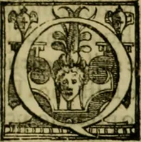 An illustration from Trattato di Christoforo Acosta africano medico & chirurgo della historia, natvra, et virtv delle droghe medicinali, & altri semplici rarissimi, che vengono portati dalle Indie Orientali in Europa : con le figure delle piante ritratte, & disegnate dal viuo poste a' luoghi proprij : nuouamente recato dalla spagnuola nella nostra lingua : con due indici, vno de' capi principali, l'altro delle cose di più momento, che si ritrouano in tutta l'opera (1585)
