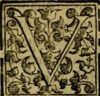 An illustration from Trattato di Christoforo Acosta africano medico & chirurgo della historia, natvra, et virtv delle droghe medicinali, & altri semplici rarissimi, che vengono portati dalle Indie Orientali in Europa : con le figure delle piante ritratte, & disegnate dal viuo poste a' luoghi proprij : nuouamente recato dalla spagnuola nella nostra lingua : con due indici, vno de' capi principali, l'altro delle cose di più momento, che si ritrouano in tutta l'opera (1585)