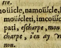An illustration from Dictionaire caraibe-françois, : meslé de quantité de remarques historiques pour l'esclaircissement de la langue. (1665)