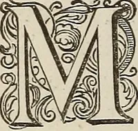 An illustration from Dictionaire de la langue huronne necessaire a cevx qui n'ont l'intelligence d'icelle (1632)