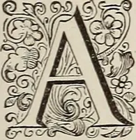 An illustration from Dictionaire de la langue huronne necessaire a cevx qui n'ont l'intelligence d'icelle (1632)