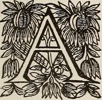 An illustration from Dictionaire de la langue huronne necessaire a cevx qui n'ont l'intelligence d'icelle (1632)