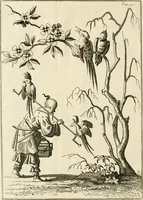 An illustration from Dictionarium polygraphicum, or, The whole body of arts regularly digested ... : illustrated with fifty-six copper plates (1758)