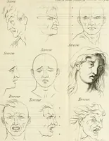 An illustration from Dictionarium polygraphicum, or, The whole body of arts regularly digested ... : illustrated with fifty-six copper plates (1758)
