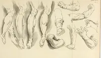 An illustration from Dictionarium polygraphicum, or, The whole body of arts regularly digested ... : illustrated with fifty-six copper plates (1758)