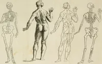An illustration from Dictionarium polygraphicum: or, The whole body of arts regularly digested ... adorned with proper sculptures, curiously engraven on more than fifty copper plates .. (1735)