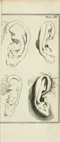 An illustration from Dictionarium polygraphicum: or, The whole body of arts regularly digested ... adorned with proper sculptures, curiously engraven on more than fifty copper plates .. (1735)