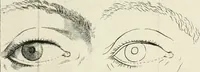 An illustration from Dictionarium polygraphicum: or, The whole body of arts regularly digested ... adorned with proper sculptures, curiously engraven on more than fifty copper plates .. (1735)