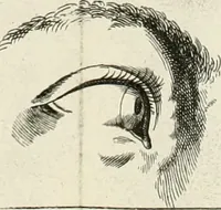 An illustration from Dictionarium polygraphicum: or, The whole body of arts regularly digested ... adorned with proper sculptures, curiously engraven on more than fifty copper plates .. (1735)