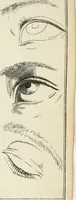 An illustration from Dictionarium polygraphicum: or, The whole body of arts regularly digested ... adorned with proper sculptures, curiously engraven on more than fifty copper plates .. (1735)