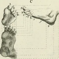 Picture 46 of 74 from Dictionarium polygraphicum: or, The whole body of arts regularly digested ... adorned with proper sculptures, curiously engraven on more than fifty copper plates .. (1735), leaf 454