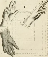 An illustration from Dictionarium polygraphicum: or, The whole body of arts regularly digested ... adorned with proper sculptures, curiously engraven on more than fifty copper plates .. (1735)