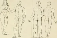 Picture 71 of 74 from Dictionarium polygraphicum: or, The whole body of arts regularly digested ... adorned with proper sculptures, curiously engraven on more than fifty copper plates .. (1735), leaf 619