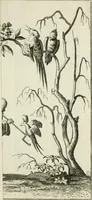 Picture 2 of 58 from Dictionarium polygraphicum: or, The whole body of arts regularly digested ... adorned with proper sculptures, curiously engraven on more than fifty copper plates .. (1735), leaf 34