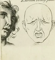 An illustration from Dictionarium polygraphicum: or, The whole body of arts regularly digested ... adorned with proper sculptures, curiously engraven on more than fifty copper plates .. (1735)