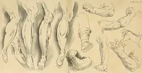 Picture 11 of 58 from Dictionarium polygraphicum: or, The whole body of arts regularly digested ... adorned with proper sculptures, curiously engraven on more than fifty copper plates .. (1735), leaf 99