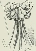 An illustration from A dictionary of architecture and building; biographical, historical and descriptive (1901)