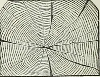 An illustration from A dictionary of architecture and building; biographical, historical and descriptive (1901)