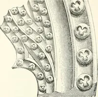 An illustration from A dictionary of architecture and building; biographical, historical and descriptive (1901)
