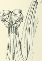 An illustration from A dictionary of architecture and building; biographical, historical and descriptive (1901)