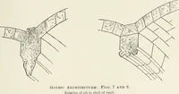 An illustration from A dictionary of architecture and building; biographical, historical and descriptive (1901)
