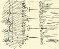 An illustration from A dictionary of architecture and building; biographical, historical and descriptive (1901)