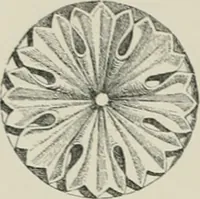 An illustration from A dictionary of architecture and building; biographical, historical and descriptive (1901)