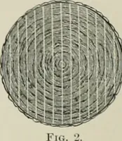 An illustration from A dictionary of architecture and building; biographical, historical and descriptive (1901)