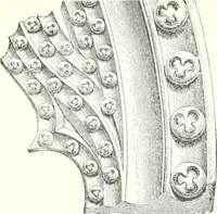 An illustration from A dictionary of architecture and building : biographical, historical, and descriptive (1902)