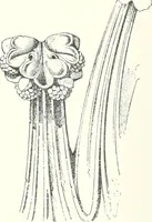 An illustration from A dictionary of architecture and building : biographical, historical, and descriptive (1902)