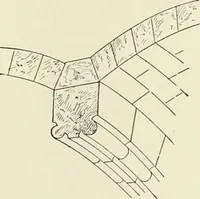 An illustration from A dictionary of architecture and building : biographical, historical, and descriptive (1902)
