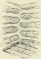 An illustration from A dictionary of architecture and building : biographical, historical, and descriptive (1902)