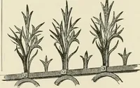 An illustration from A dictionary of architecture and building : biographical, historical, and descriptive (1902)