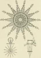 Picture 288 of 347 from A dictionary of architecture and building : biographical, historical, and descriptive (1902), leaf 521
