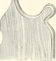 An illustration from A dictionary of architecture and building : biographical, historical, and descriptive (1902)
