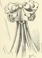 An illustration from A dictionary of architecture and building : biographical, historical, and descriptive (1902)